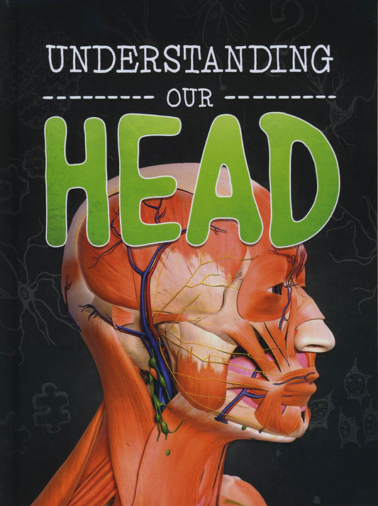 Understanding Our Head - Brains, Body, Bones! by Lucy Beevor