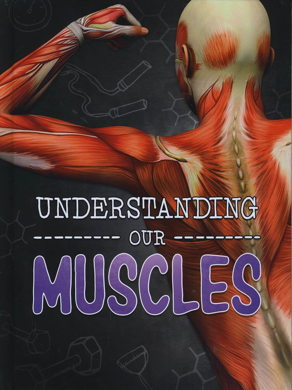 Understanding Our Muscles - Brains, Body, Bones! by Lucy Beevor