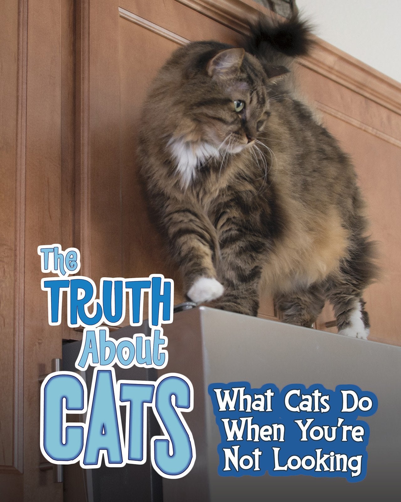 Pets Undercover! : The Truth About Cats by Mary Colson