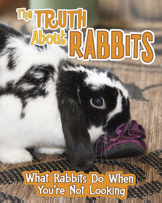 Pets Undercover! : The Truth About Rabbits by Mary Colson