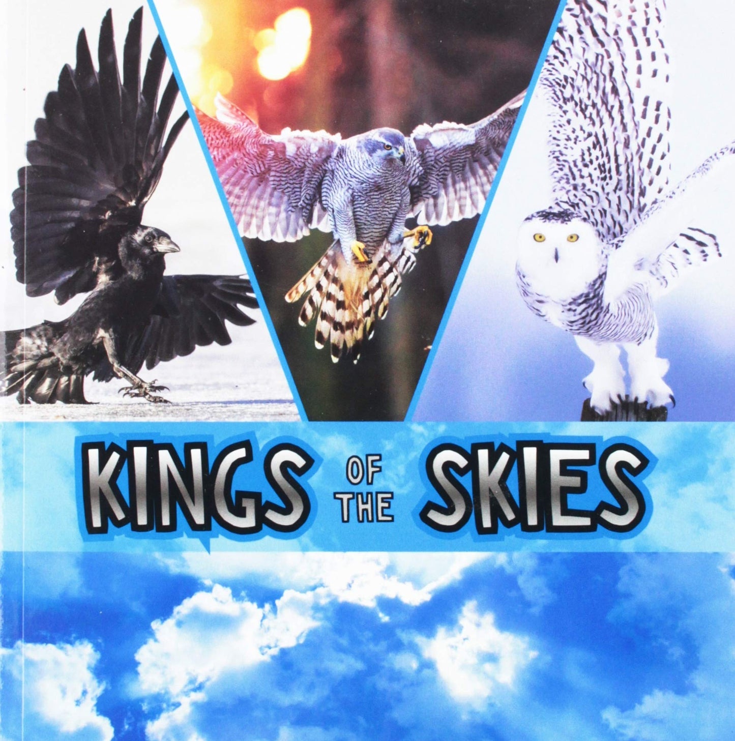 Kings Of The Skies by Rissman, Rebecca