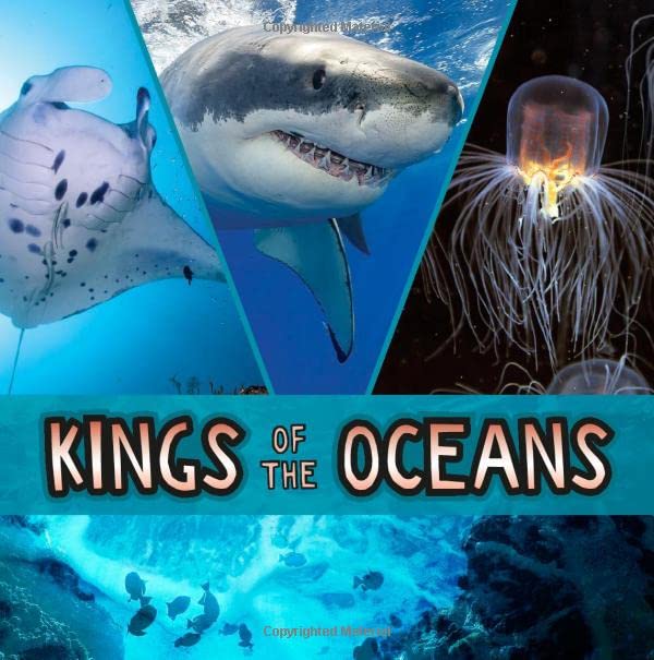 Kings Of The Oceans by Rake, Jody S.