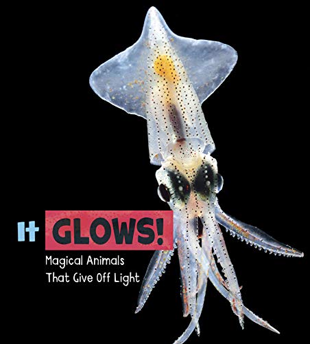 Magical Animals: It Glows by Nikki Potts