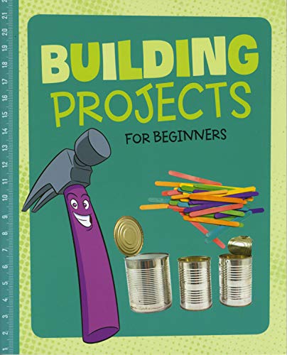 Building Projects For Beginners by Tammy Enz