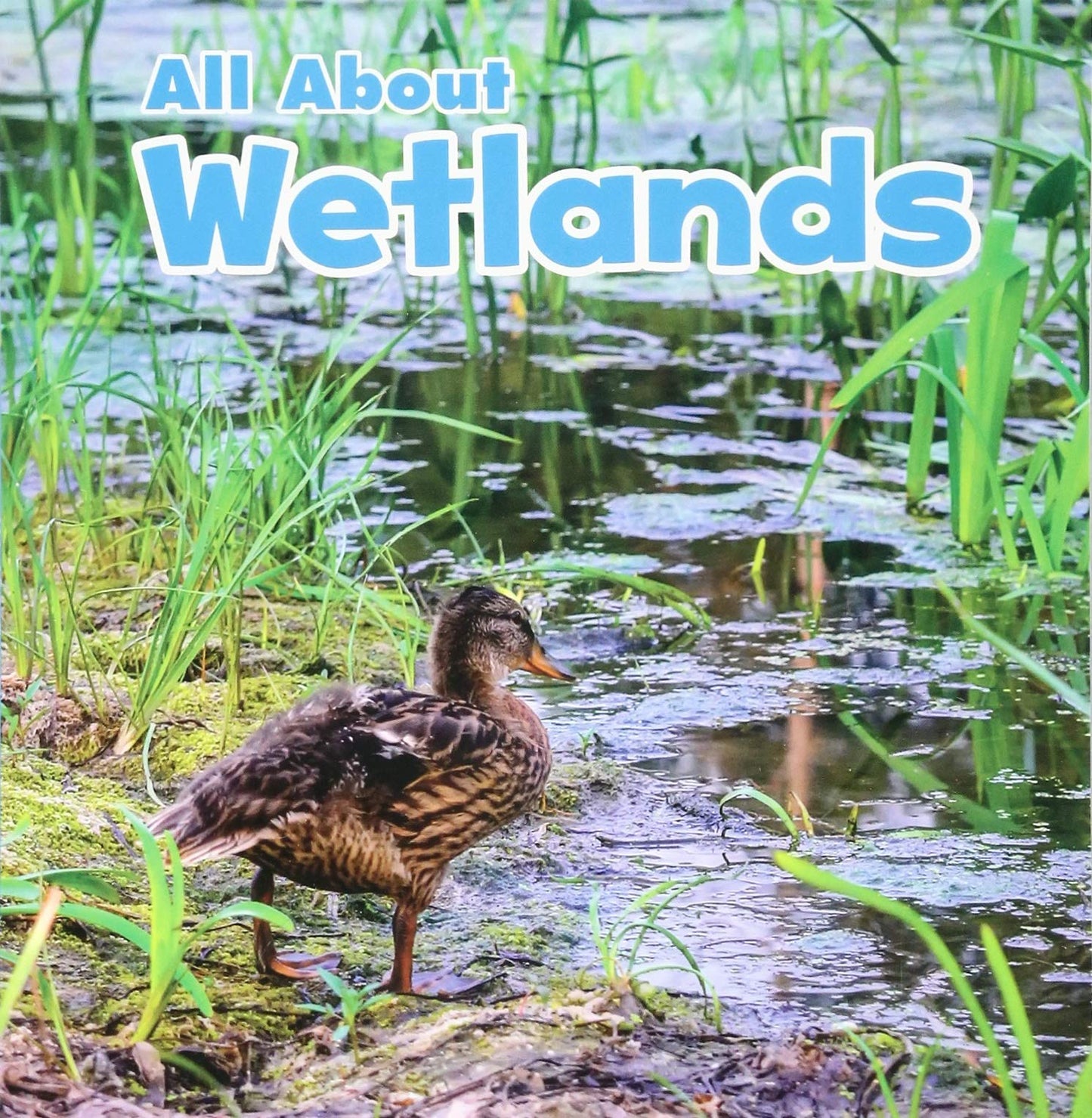 All About Wetlands - Habitats by Christina Mia Gardeski