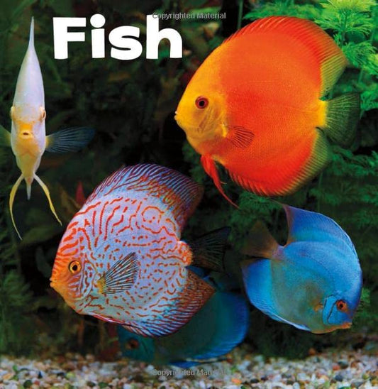 Fish - Our Pets by Lisa J. Amstutz