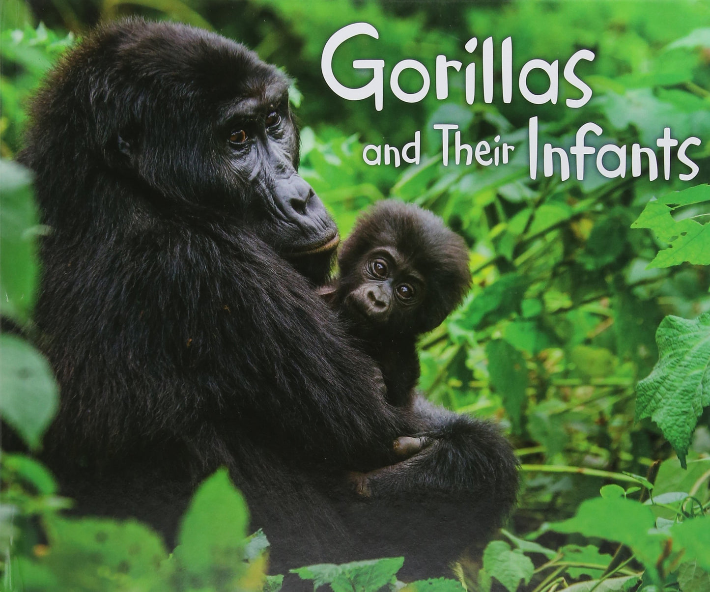 Animal Offspring: Gorillas & Their Infants by Margaret Hall