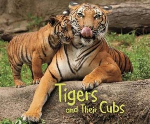 Animal Offspring: Tigers & Their Cubs by Margaret Hall