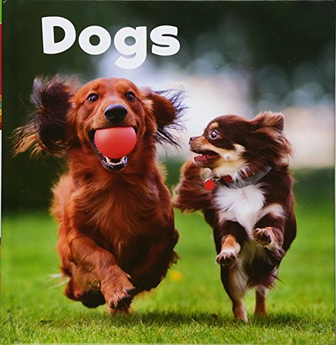 Our Pets: Dogs by Lisa J.Amstutz