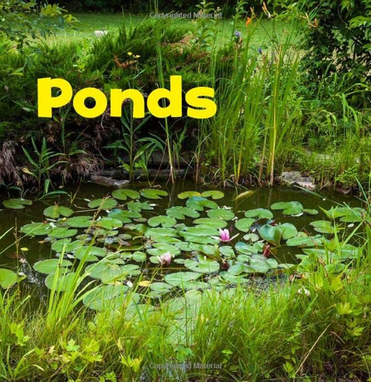 Bodies of Water: Ponds by Erika L. Shores