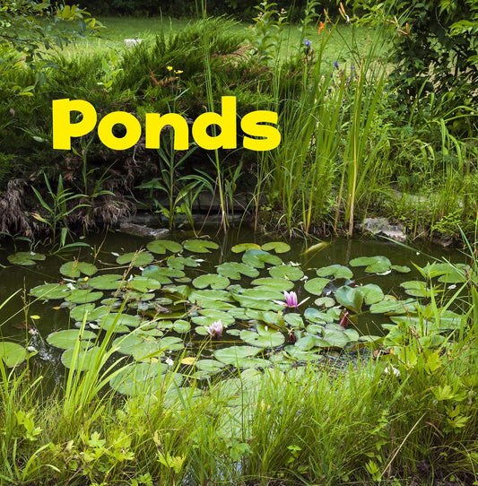 Ponds - Bodies of Water by Erika L. Shores