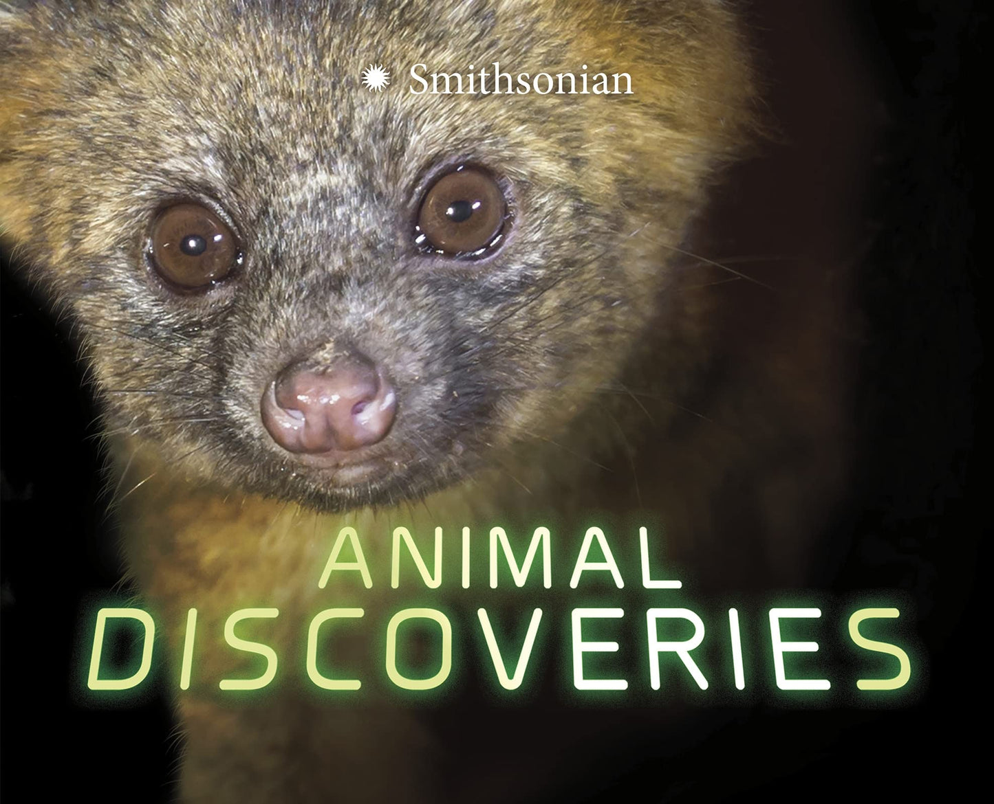 Animal Discoveries (Smithsonian: Marvellous Discoveries) by Orr, Tamra B.