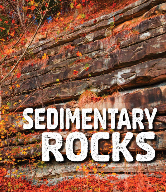 Rocks: Sedimentary Rocks by Ava Sawyer