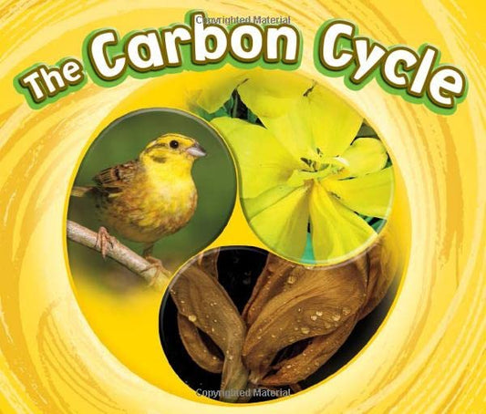 Cycles of Nature: The Carbon Cycle by Catherine Ipcizade