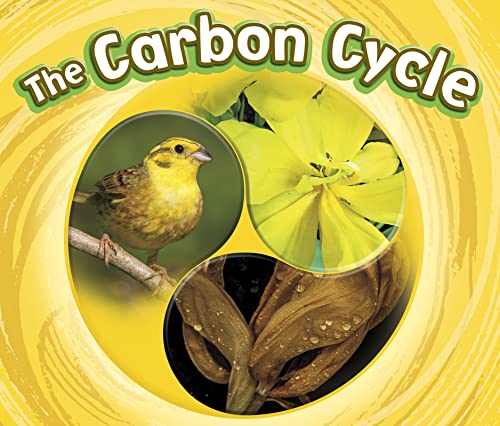 Carbon Cycle by Catherine Ipcizade