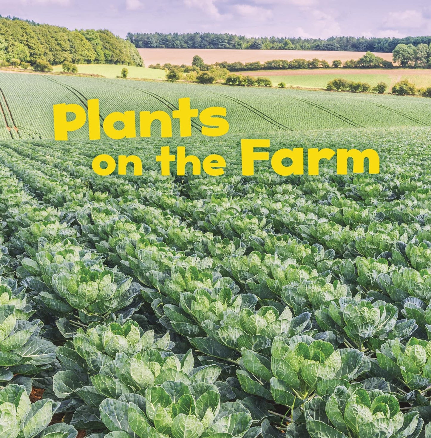 Farm Facts: Plants on the Farm by Lisa J. Amstutz