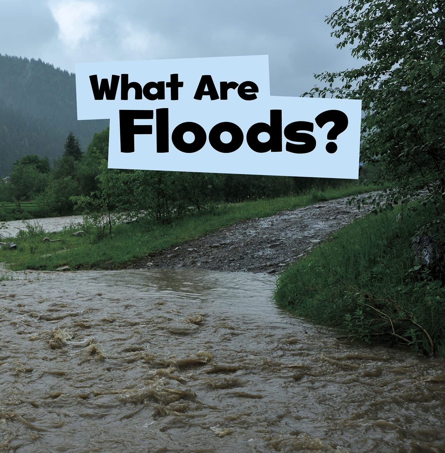 Wicked Weather: What Are Floods? by Mari Schuh