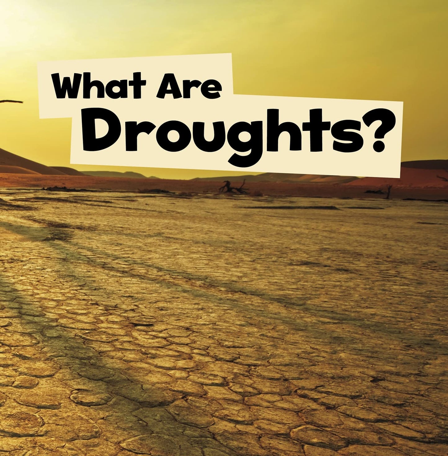 What Are Droughts? - Wicked Weather by Mari C. Schuh