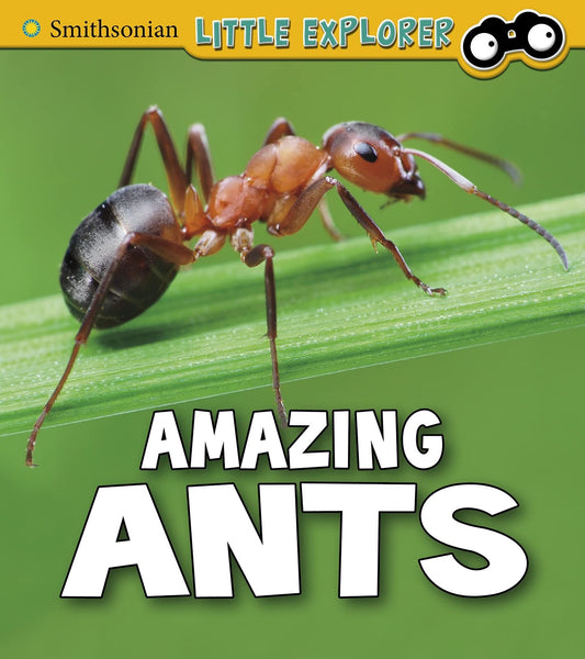 Smithsonian Little Explorer: Amazing Ants by Megan Cooley Peterson