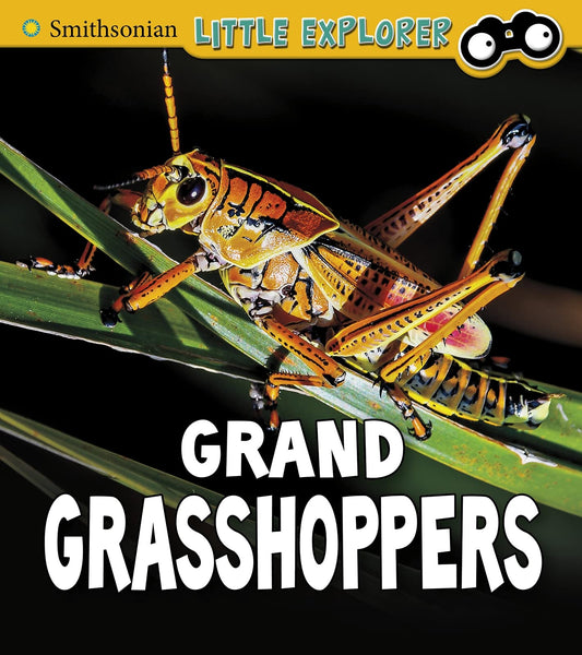 Grand Grasshoppers - Insect Explorer by Megan Cooley Peterson