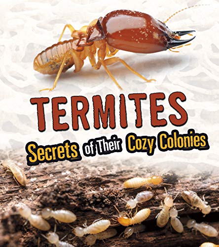 Amazing Animal Colonies: Termites - Secrets Of Their Cosy Colonies by Rebecca Stefoff