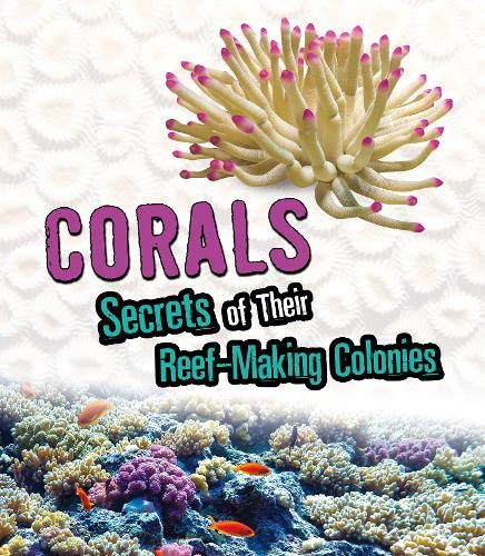 Corals Secrets of Their Reef-Making Colonies - Amazing Animal Colonies by Rebecca Stefoff