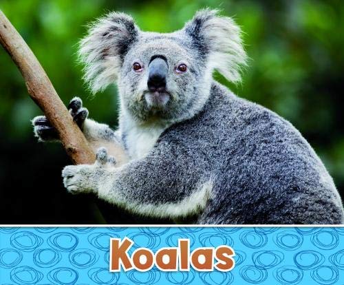 Koalas - Australian Animals by Sara Louise Kras
