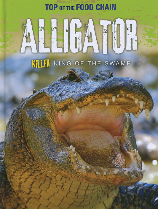 Top of the Food Chain: Alligator by Angela Royston