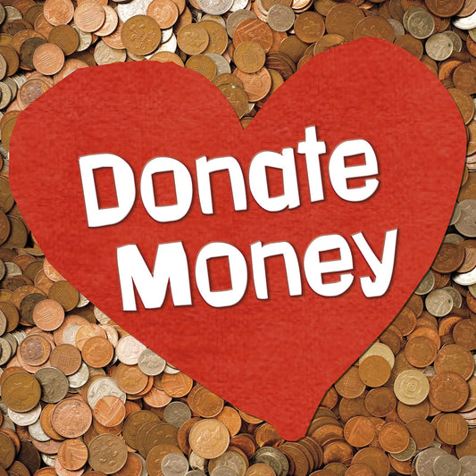 Donate Money - Earn It, Save It, Spend It! by Emily Raij