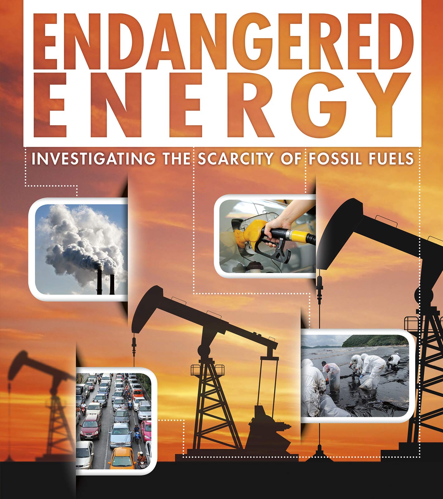 Endangered Earth - Endangered Energy by Rani Iyer