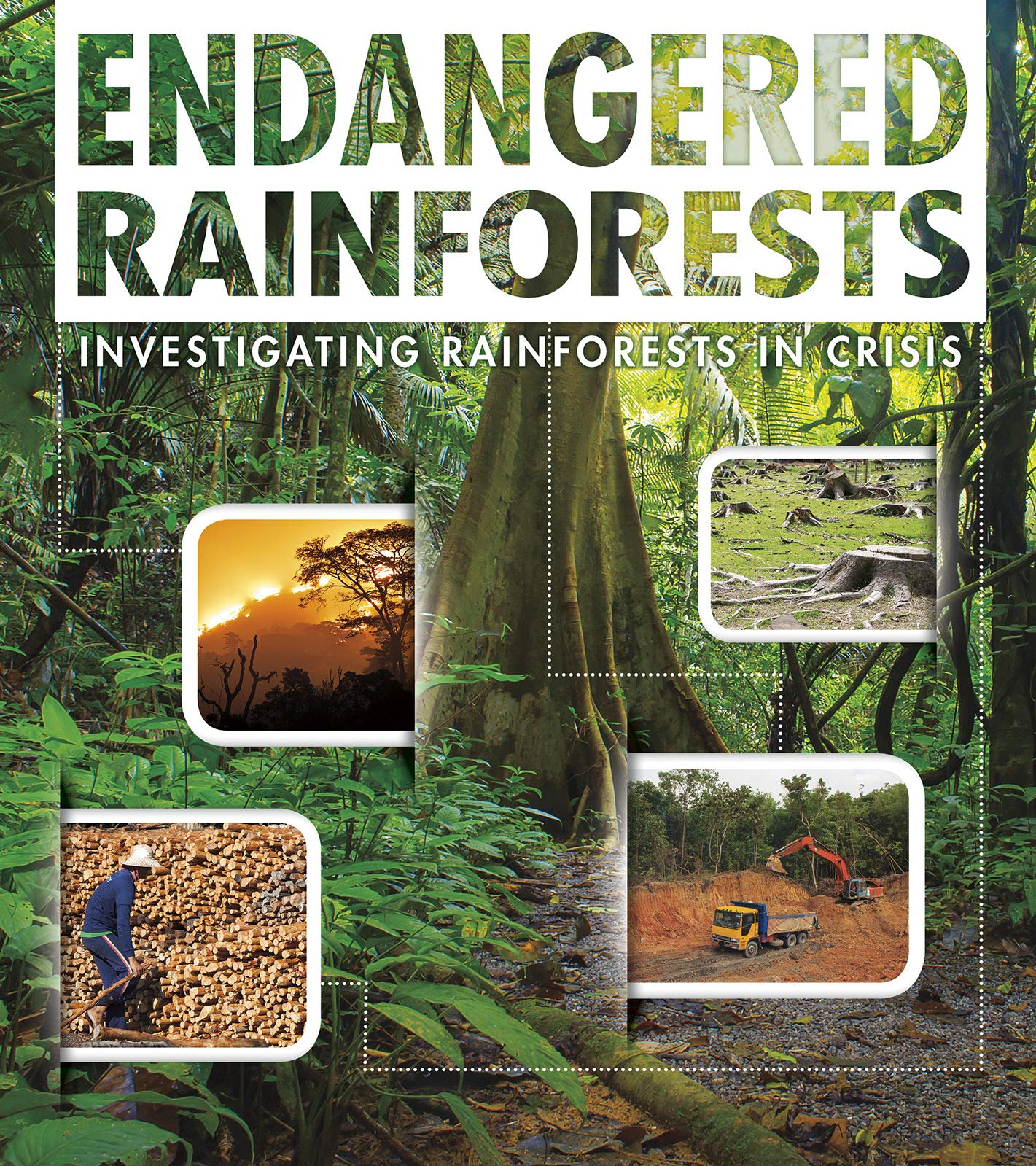 Endangered Earth: Endangered Rainforests by Rani Iyer