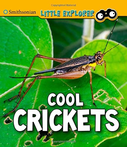 Cool Crickets - Insect Explorer by Megan Cooley Peterson