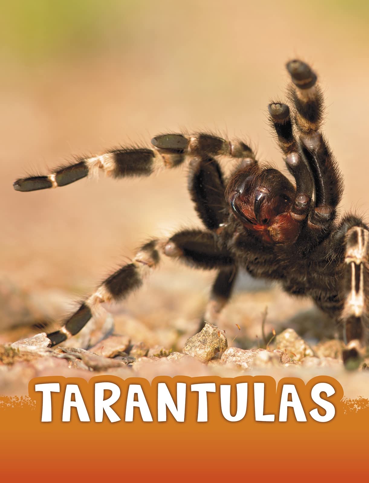 Tarantulas by Jaycox, Jaclyn