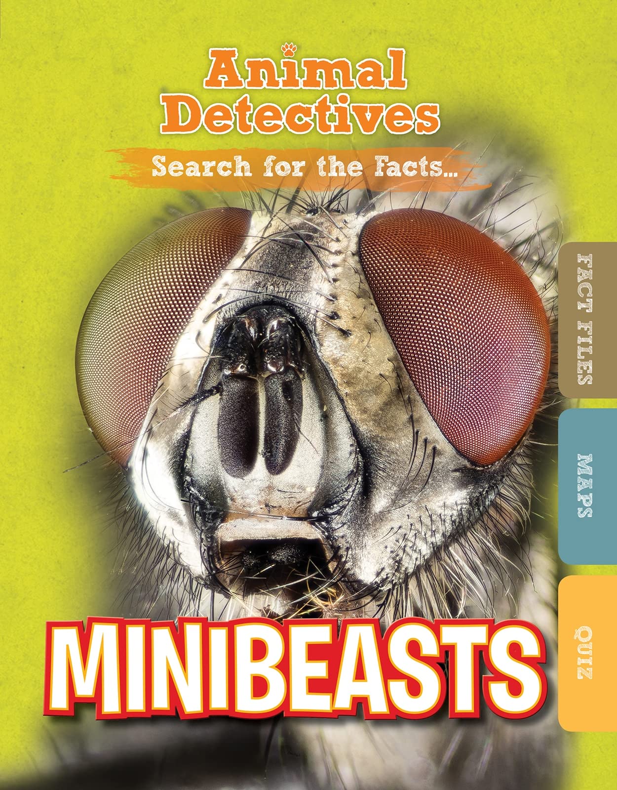 Animal Detectives: Minibeasts by Anne ODaly