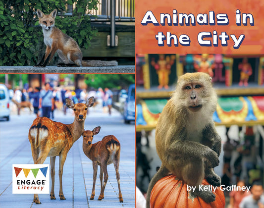 Animals in the City by Gaffney, Kelly