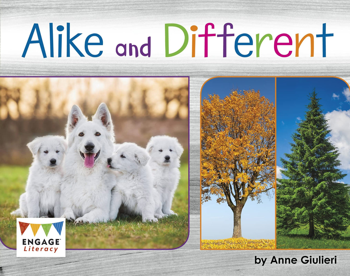 Alike and Different - Engage Literacy by Anne Giulieri