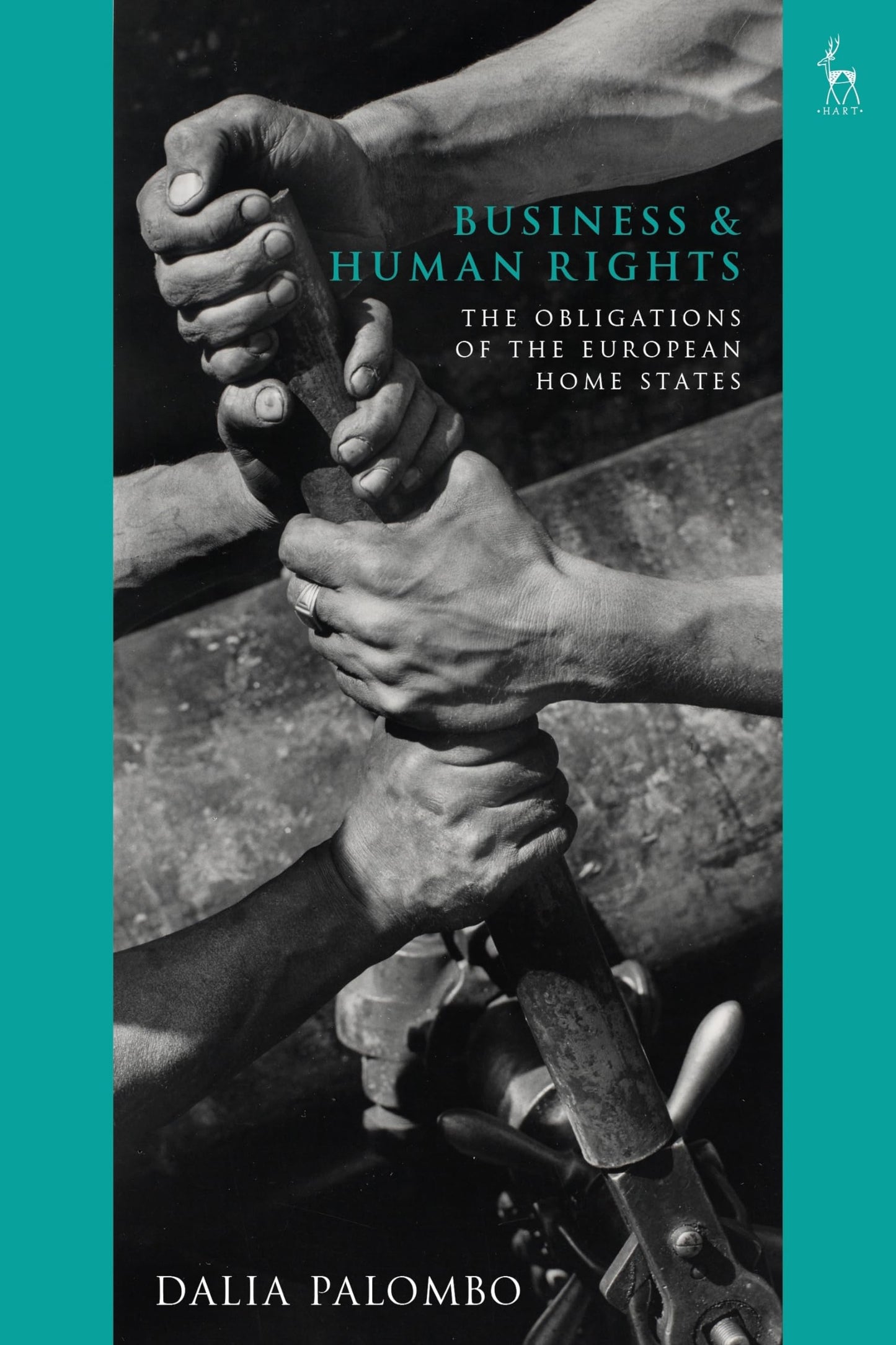 Business and Human Rights: The Obligations of the European Home States by Dalia Palombo