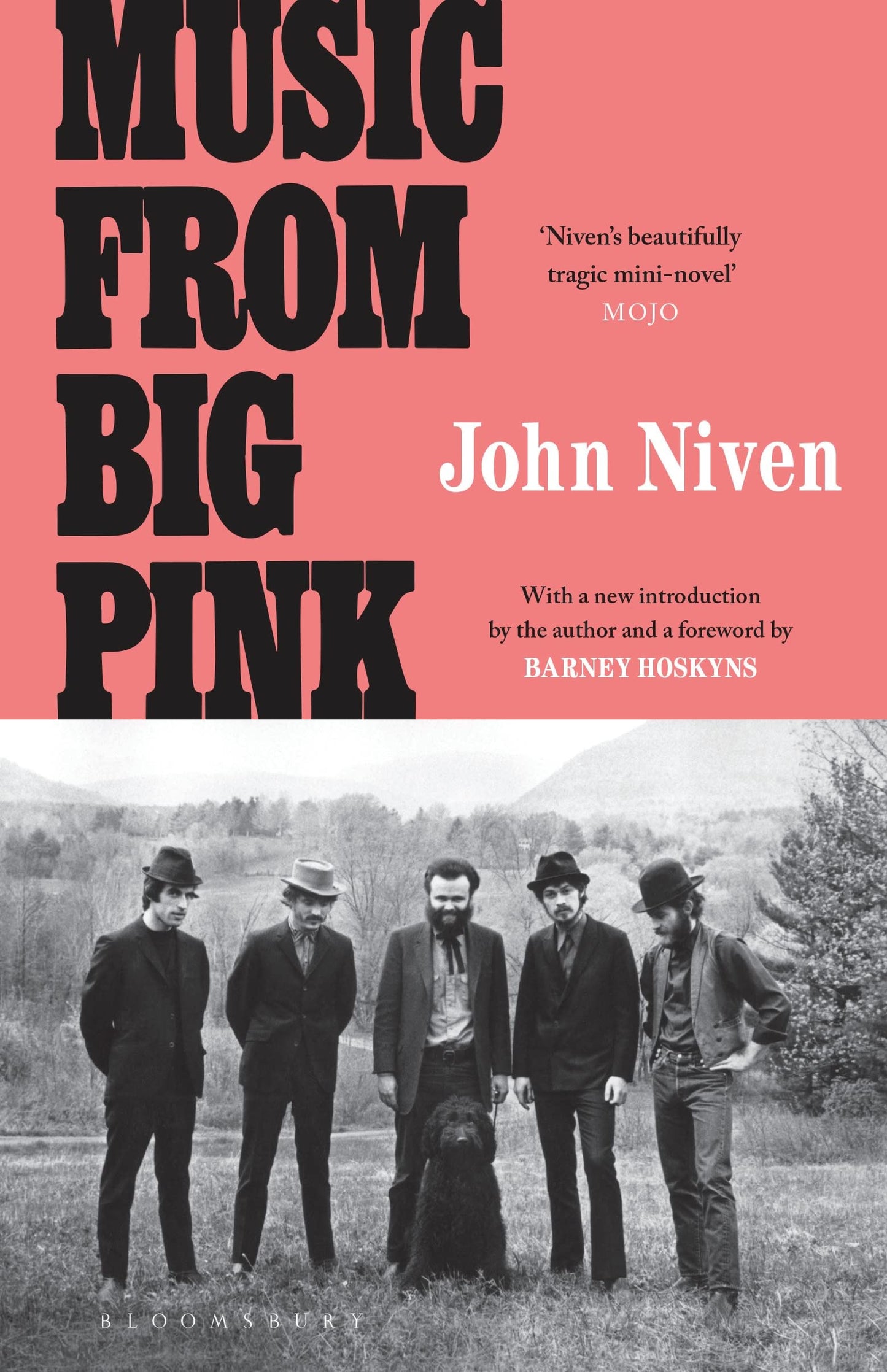 Musik von Big Pink von John Niven