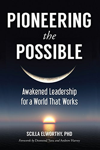 Pioneering the Possible: Awakened Leadership for a World That Works by Elworthy, Scilla