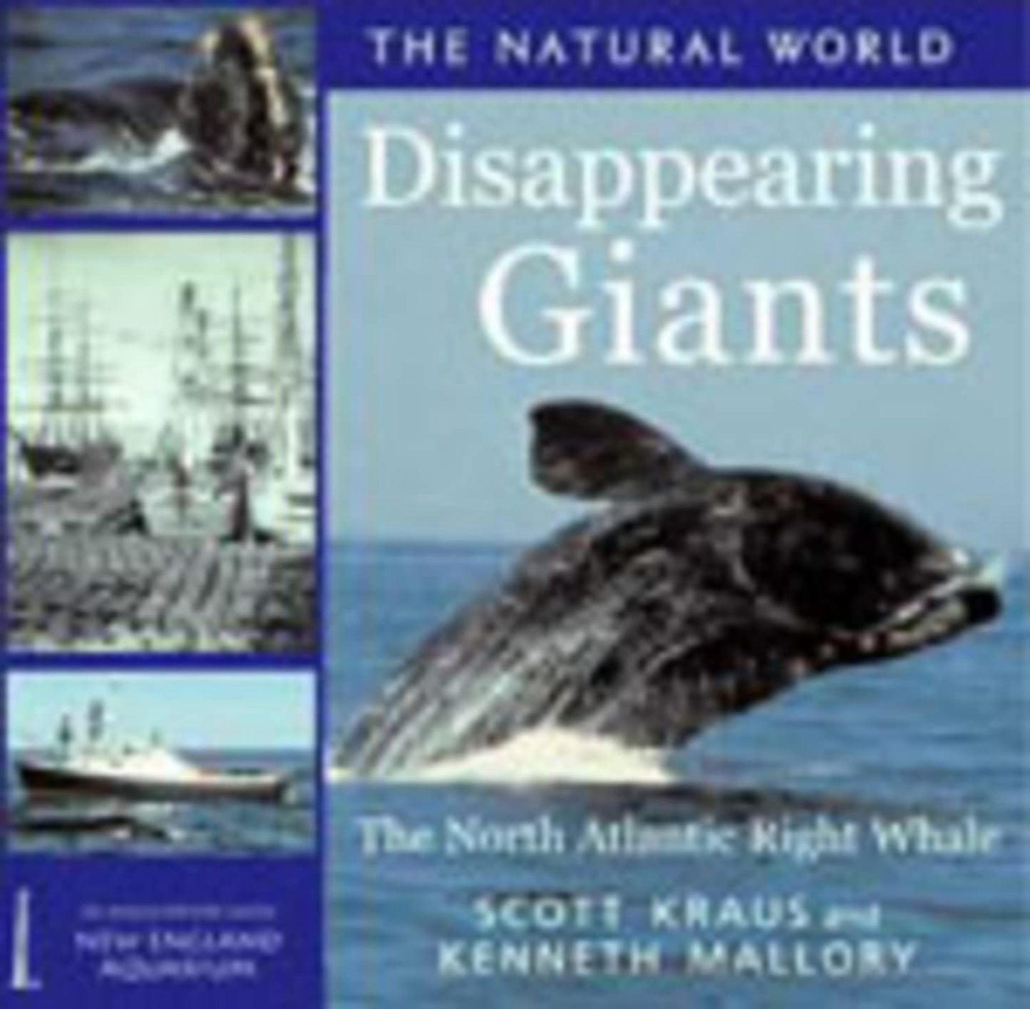 Disappearing Giants: Natural World by Scott D. Kraus