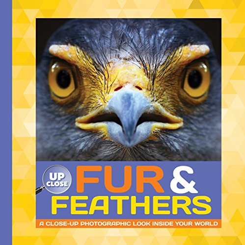 Up Close: Fur & Feathers by Heidi Fiedler