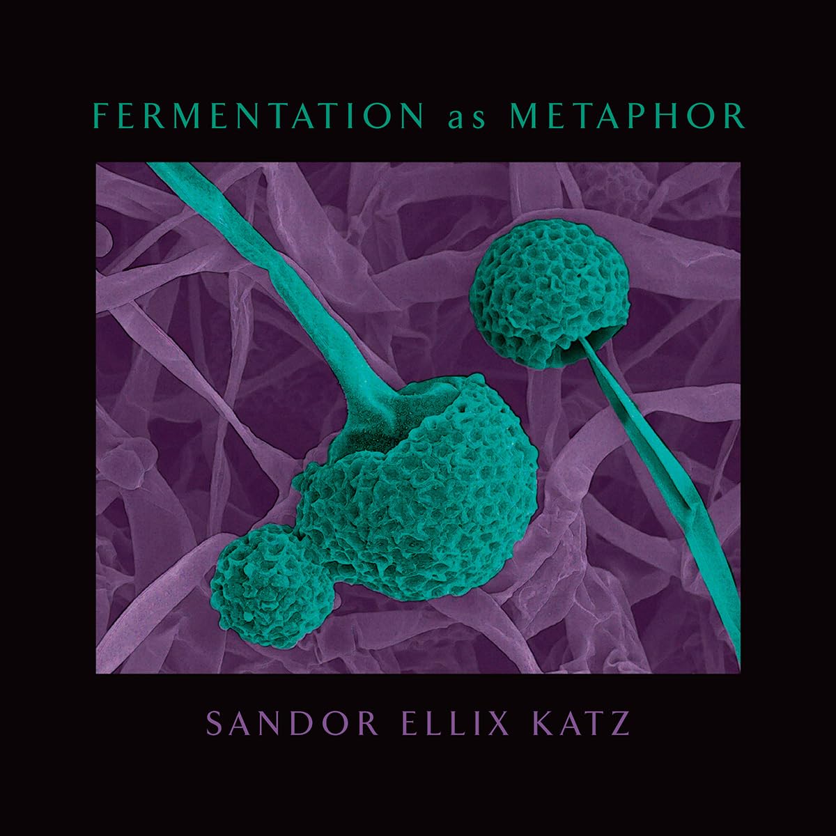 Fermentation as Metaphor by Katz, Sandor Ellix