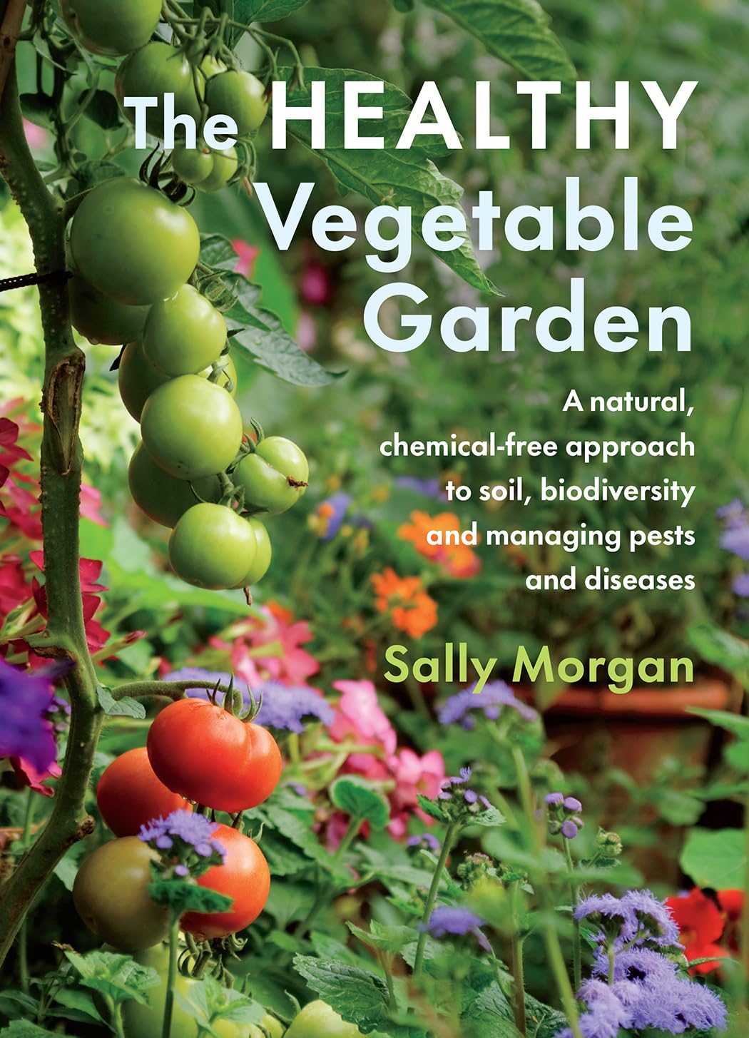 Healthy Vegetable Garden: A natural, chemical-free approach by Morgan, Sally