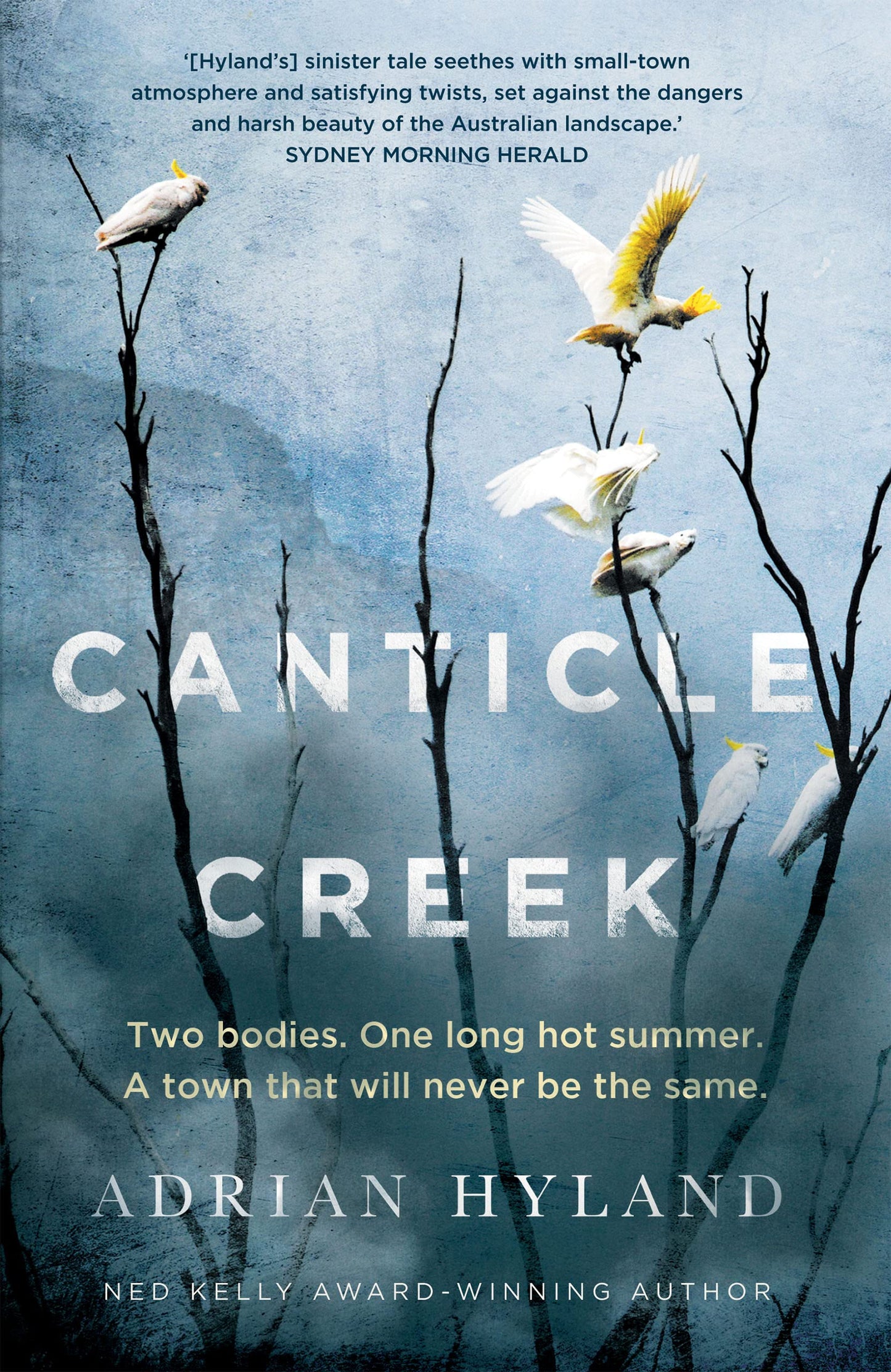 Canticle Creek by Adrian Hyland