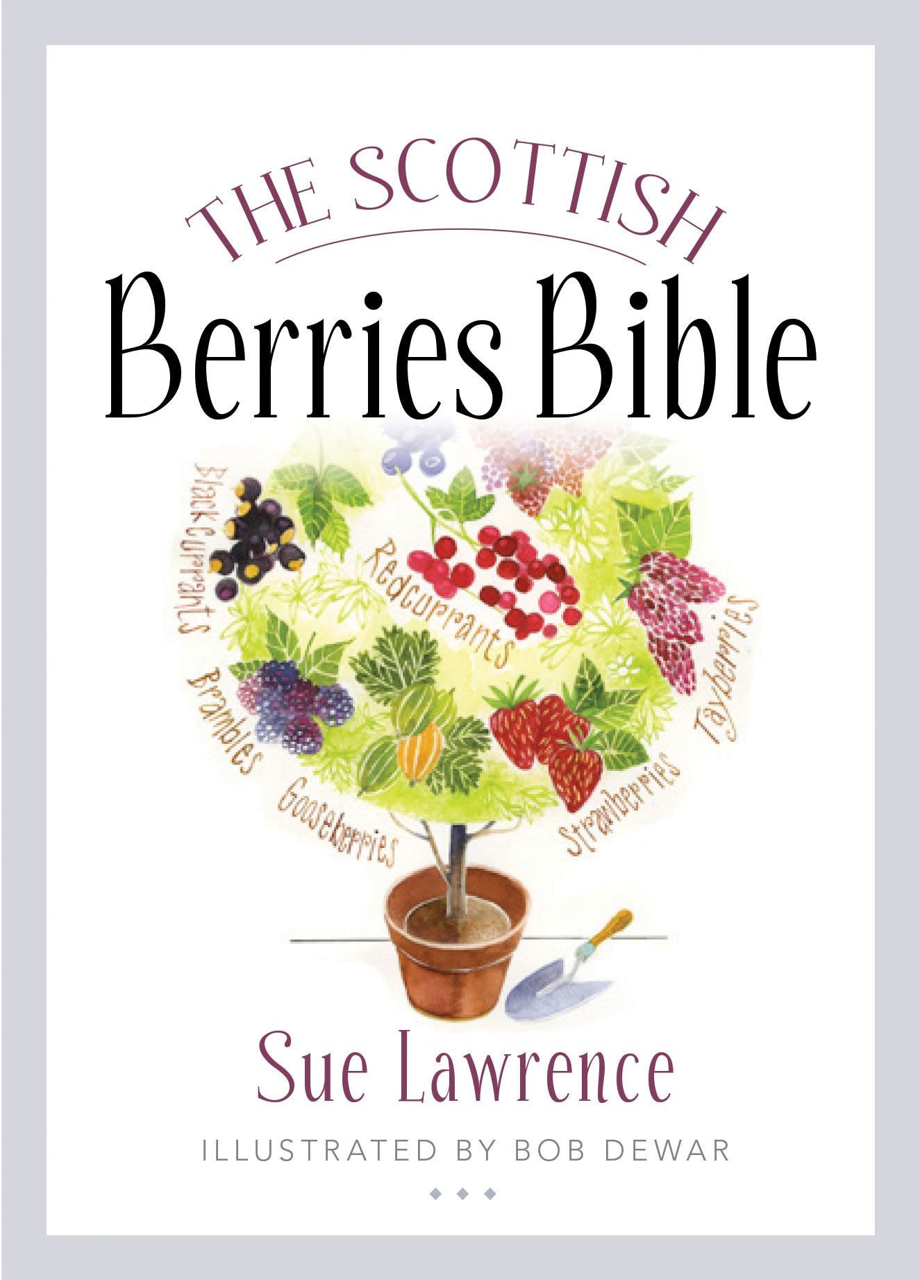 Scottish Berries Bible by Lawrence, Sue