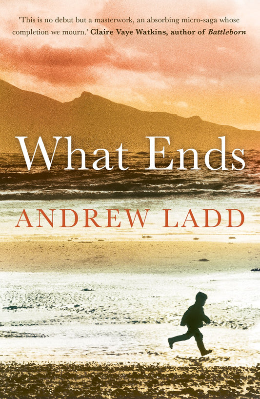 What Ends by Ladd, Andrew