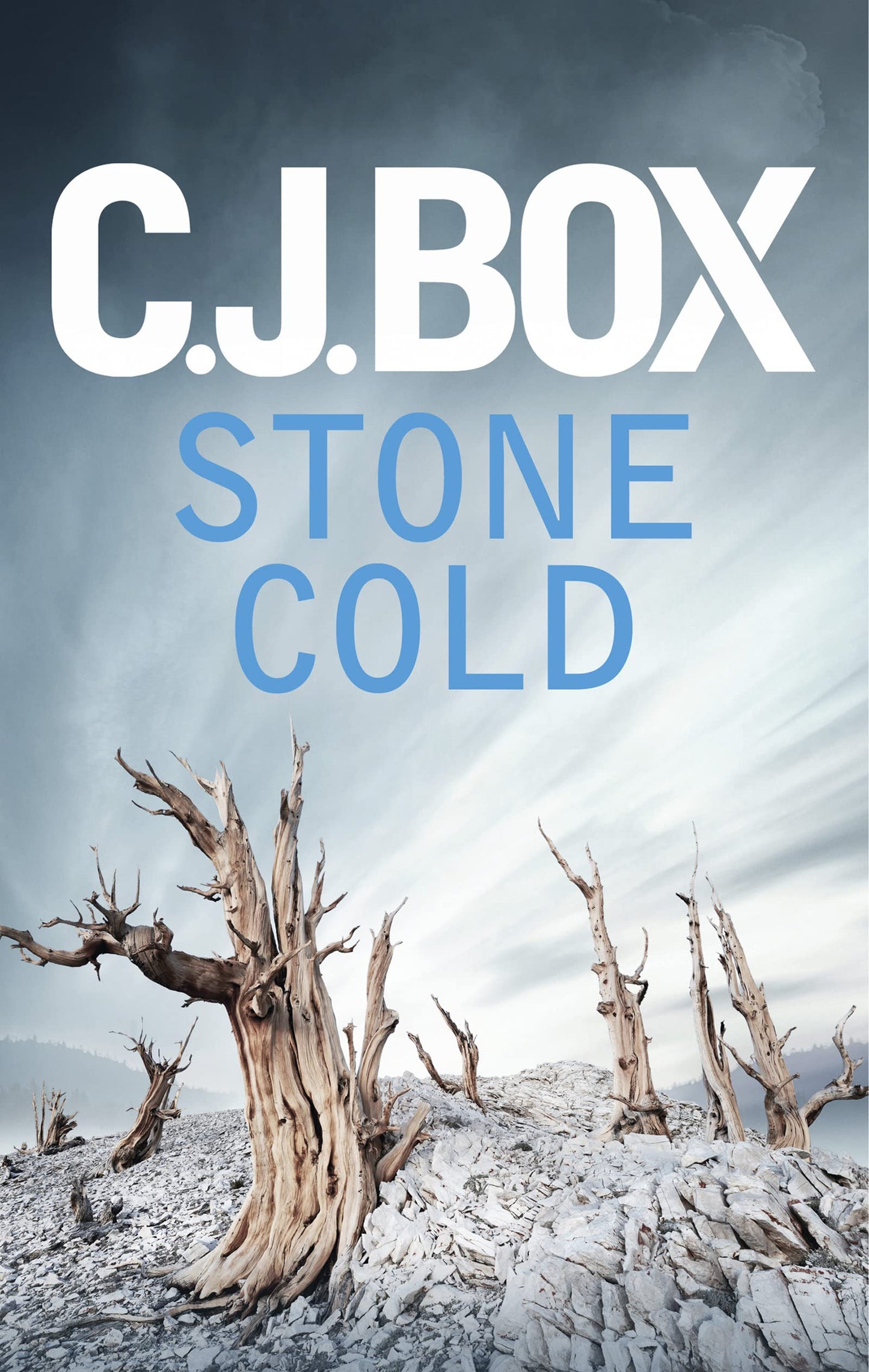 Stone Cold (Joe Pickett) by Box, C.J.