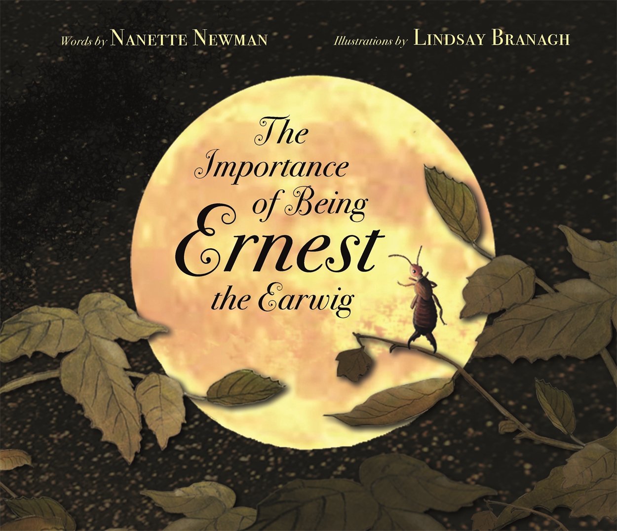 Importance of Being Ernest the Earwig by Newman, Nanette