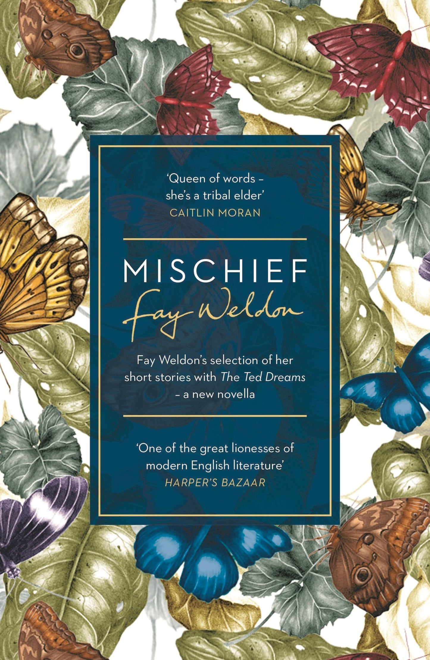 Mischief: Fay Weldon's selection of her short stories by Fay Weldon