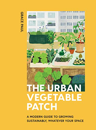 Urban Vegetable Patch by Grace Paul